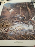 Mo. Ducks unlimited print "Busting out" signed