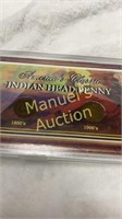 AMERICA'S CLASSIC INDIAN HEAD PENNY