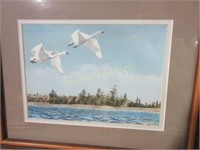 "Swans" watercolour painting by A. Klassen