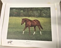 Secretariat Horse Print, Reeves