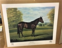 Seattle Slew Horse Print, Reeves