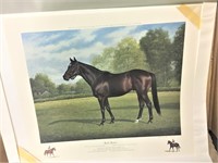 Bold Ruler Horse Print, Reeves