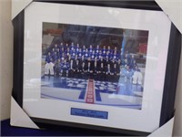 2014 - 15 Toronto Maple Leaf Picture 21.5" x 18.5"