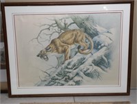 Michael Dumas Signed & # Cougar Print   14/500