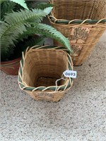 Artificial fern and 2 decorative waste baskets.