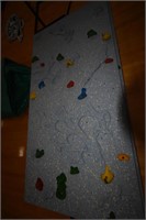 Rock Climbing Wall with Accessories