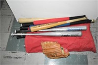 Baseball Bat Lot