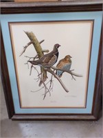 Eckelberry  Spruce Grouse framed print
