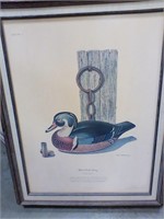 Tom Cotney Wood Duck Decoy print
