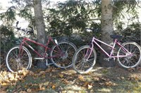 Pair of Mountain Bikes