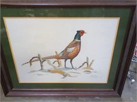 Ray Harm ring necked pheasant 37x30