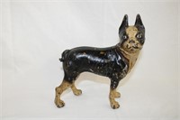 Painted Cast metal English Bull dog 8 X 9"H