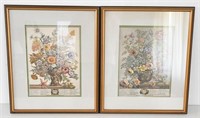 pair of prints by Robert Furber Gardiner in frames