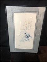 Limited Edition Framed Cockatoo 146/700 Signed