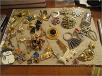 Misc. Jewelry-Pins & Brooches Lot-28 ct.