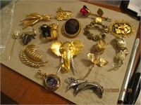 Misc. Jewelry-Pins & Brooches & Cameo Stick Pin