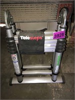 Telesteps Portable Ladder