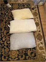Lot of 3 Pillows