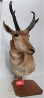 Antelope on Pedestal