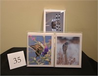 Three Sets of Nature Photography Gift Cards