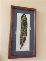 Framed Costa Rica Feather - 9 x 17