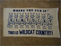 Wildcat Country Rug