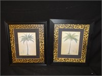 Palm Tree Pictures