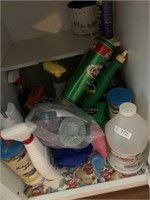 Cabinet full cleaning supplies