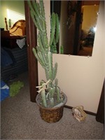 Artifical Cactus
