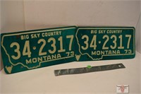 Set of 1973 Montana Lic Plates