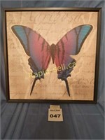 Butterfly #4 Artwork