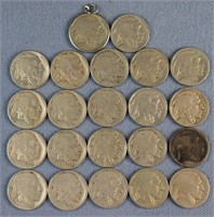 22 Buffalo Nickels