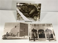 Trio of vintage Michigan pictures #2