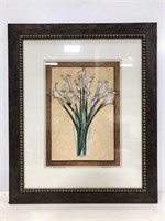 Framed & signed Calla Lilies print