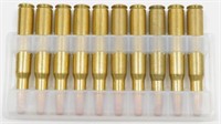 * 10 rounds 30-06 Ammunition