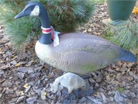 Yard Goose & gosling