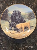Collectors Plate Spring Training by Nigel Hemming