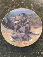 Collectors Plate Father's Pride & Joy by Nigel