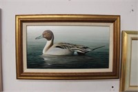 Pin Tail Drake Acrylic Painting, David Jones