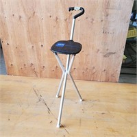 Folding Cane and Seat