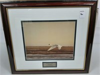 FRAMED WHISTLING SWAN LAKE ERIE PRINT BY ROBERT BA