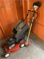 Rover Lawn Mower and Stihl Whipper Snipper