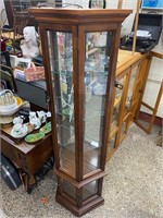 Curio Cabinet Lighted Trapezoid shaped