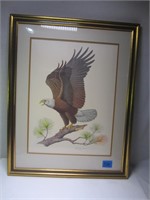 “The Bold Eagle” Print 1976