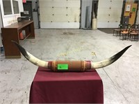 Steer Horns