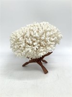 Decorative Coral on Stand