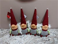 4 Norma the Gnomes