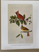 N0. B-12,673 John James Audubon, 1785-1851,