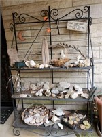 Shells, rocks, wood décor, fossils