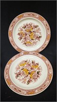 (2) Canterbury Red Multicolor Plates by RIDGWAY